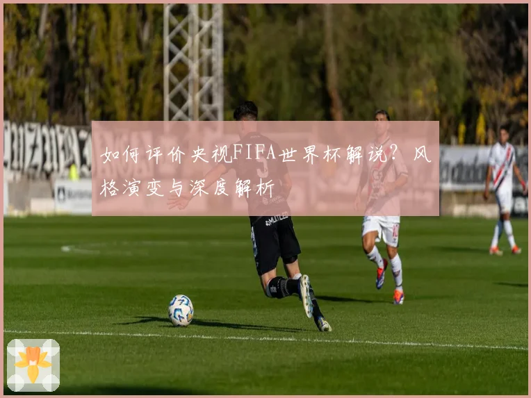 如何评价央视FIFA世界杯解说?风格演变与深度解析