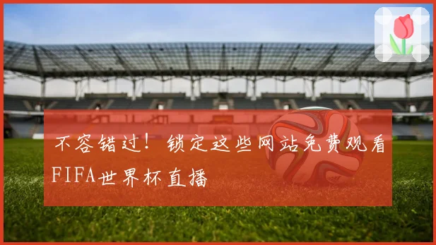 不容错过!锁定这些网站免费观看FIFA世界杯直播