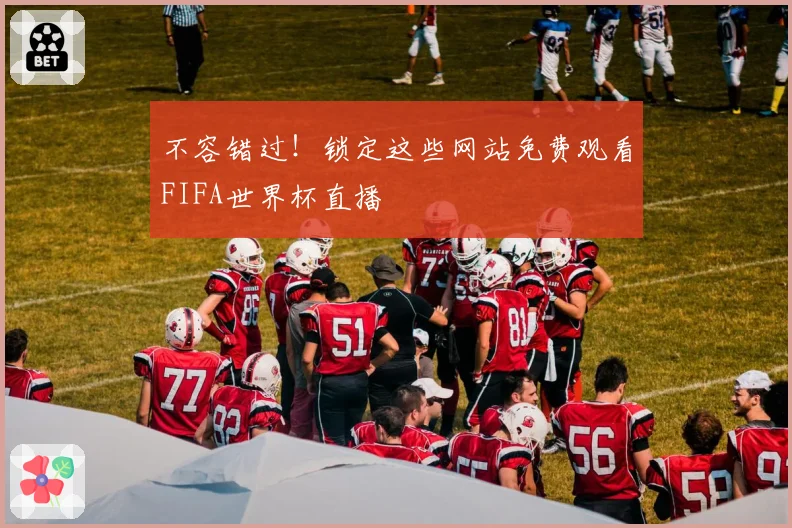不容错过!锁定这些网站免费观看FIFA世界杯直播