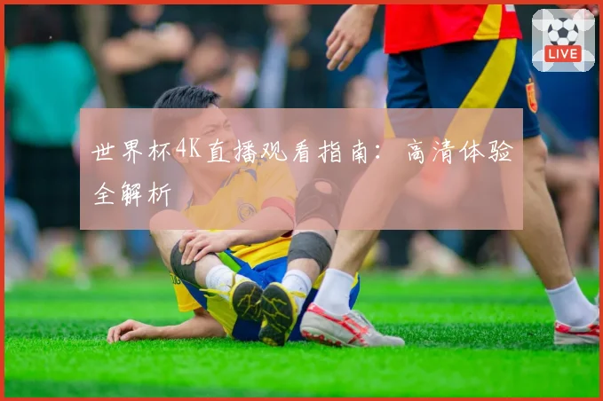 世界杯4K直播观看指南:高清体验全解析